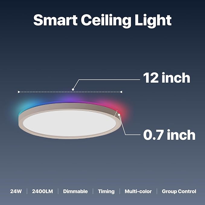 2 Pack Smart RGB Ceiling Light with Remote, 24W 2400LM, 12 Inch LED Flush Mount Ceiling Light Works with Alexa Google Home, Dimmable&2700K-6500K, Low Profile Wired Light for Bedroom Kitchen