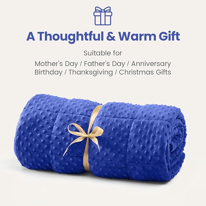 Wemore Minky Dot Weighted Blanket for Adults Queen Size 15 lbs, Soft Cozy Heavy Blanket for Bed and Couch, Breathable Blanket for All-Season with Glass Beads, Blue 60 x 80 inches