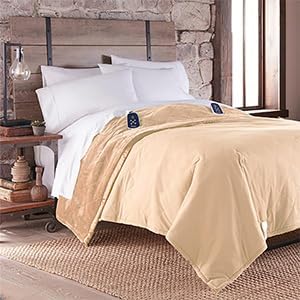 Thermee Micro Flannel Blanket Queen Size Heated Blanket with 10 settings, Programable Heating Blanket, Luxuriously Soft Heated Throw Blanket, Rapid Heating Thermal Blanket, Warm Blanket - Lilac