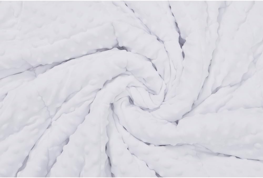 TONGDADA Minky Weighted Blanket | 40''x60'',10lbs | Cozy and Soft Minky Weighted Throw Blanket | Luxury Velvet with Premium Glass Beads | White Minky