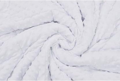 TONGDADA Minky Weighted Blanket | 40''x60'',10lbs | Cozy and Soft Minky Weighted Throw Blanket | Luxury Velvet with Premium Glass Beads | White Minky