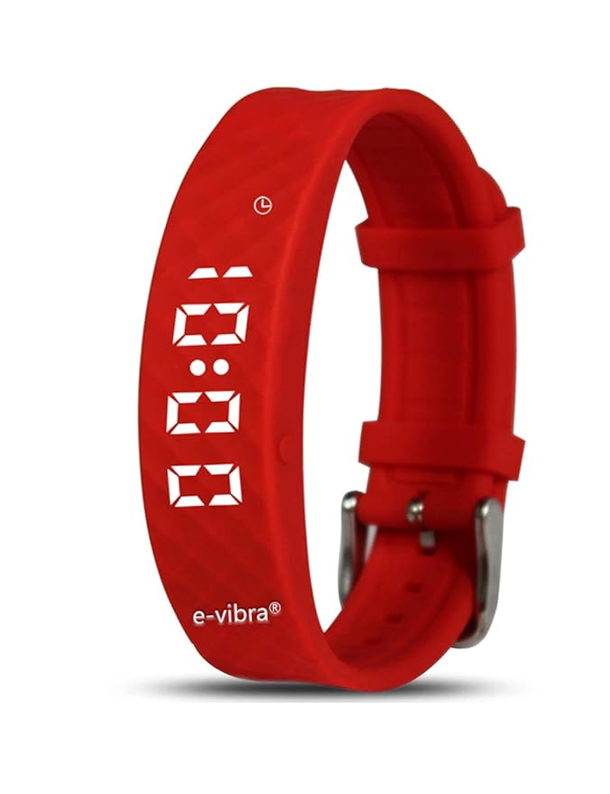 Potty Training Watch - Rechargeable Silent Vibrating Watch - Medical Reminder Wristband - with Timer and 15 Daily Alarms (Red-Small)