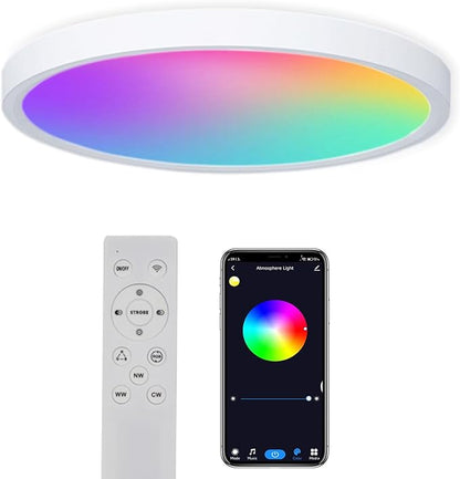 Smart LED Ceiling Lights RGBCW Color Changing Ceiling Light Compatible with Alexa Google Home Flush Mount Ceiling Lamp 24W Time Scheduler Dimmable for Living Room, Bedroom
