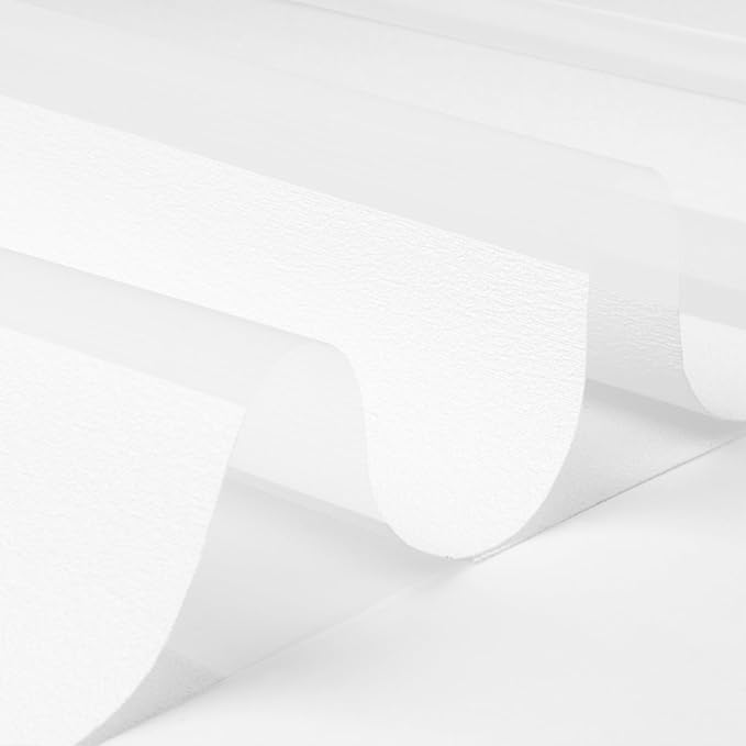 Motorized Zebra Blinds with Remote Smart Blind Work with Homekit Alexa SmartThings Electric Day and Night Shade Cordless Automatic Solar Powered Window Shade Customize(Starry White)