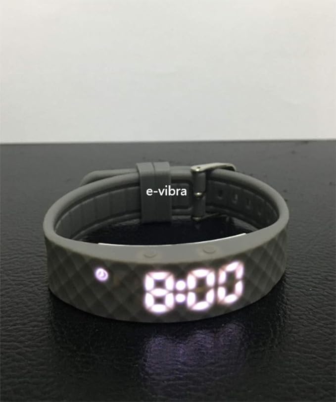 Potty Training Watch - Rechargeable Silent Vibrating Alarm Wristband - Medical Reminder Watch - with Timer and 15 Daily Alarms (Grey-Large)