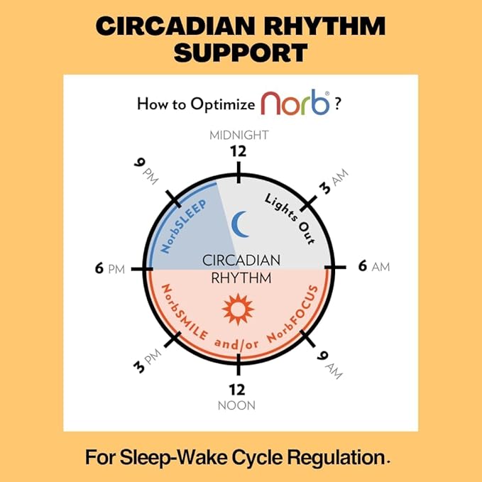 NorbSMILE Soft Full Spectrum Light Bulb. Sunlike Softer-Hue A19 Wellness LED. Boost Energy, Mood & Performance, Support Circadian Rhythm, Near-Perfect Color Rendering, Patented, US Based (1-Pack)