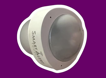 Smart Sensor - SAT-1065 - Smart Monitoring System, Wi-Fi Enabled, No Hub Required, Remote Virtual Access, Subscription Free, Easy Set-Up Motion Sensor, PIR Sensor