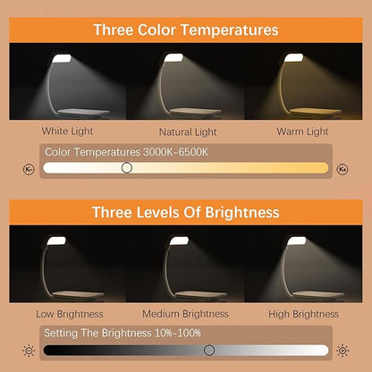 Portable LED Reading Lights, Eye Caring 3 Color Temperatures and Dimming Brightness Book Lights, Lightweight USB Rechargeable Clip-On Lamp for Book Lovers Night Reading (White)