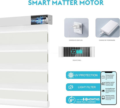 Motorized Zebra Blinds with Remote Smart Blind Work with Homekit Alexa SmartThings Electric Day and Night Shade Cordless Automatic Solar Powered Window Shade Customize(Starry Beige)