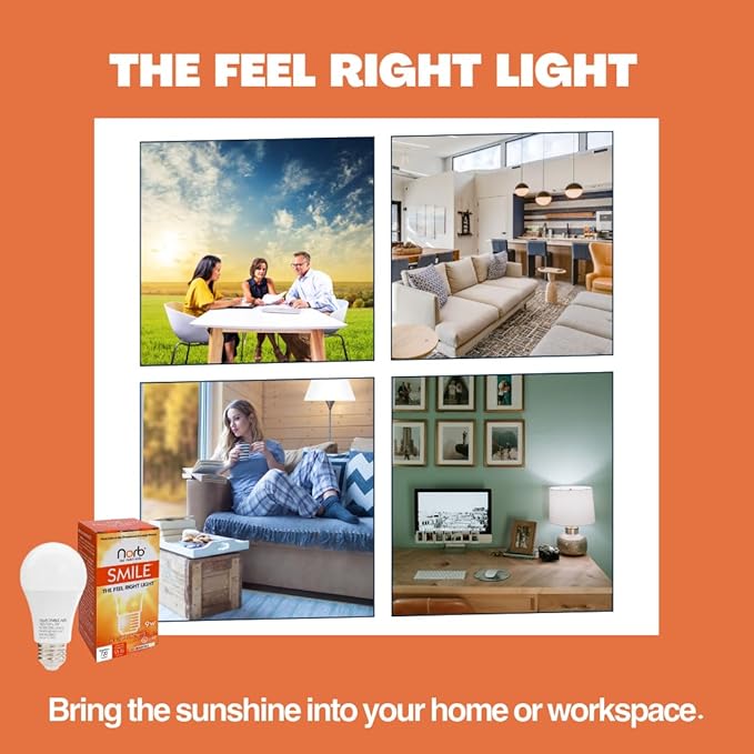 Norb Wellness Lighting Starter Kit, Set of 4 Wellness Light Bulbs, LED Light Therapy for Mood, Migraine Relief, Focus, & Sleep Enhancement, A19, E26, Energy Efficient (4-Pack)