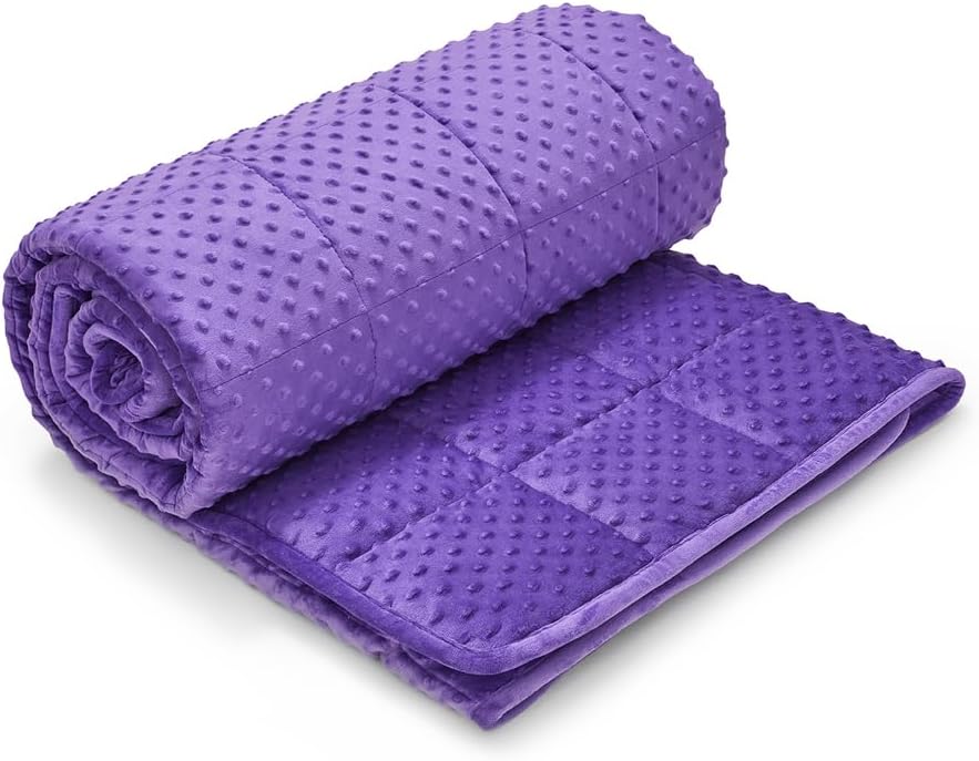 TONGDADA Minky Weighted Blanket | 60''x80'',15lbs | Cozy and Soft Minky Weighted Throw Blanket | Luxury Velvet with Premium Glass Beads | Violet Minky