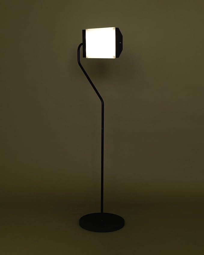 Northern Light Technologies Flamingo 10,000 Lux Bright Light Therapy Floor Lamp, Black, 4 Foot