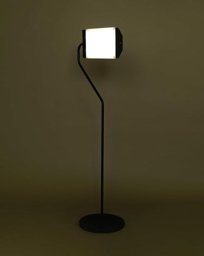 Northern Light Technologies Flamingo 10,000 Lux Bright Light Therapy Floor Lamp, Black, 4 Foot