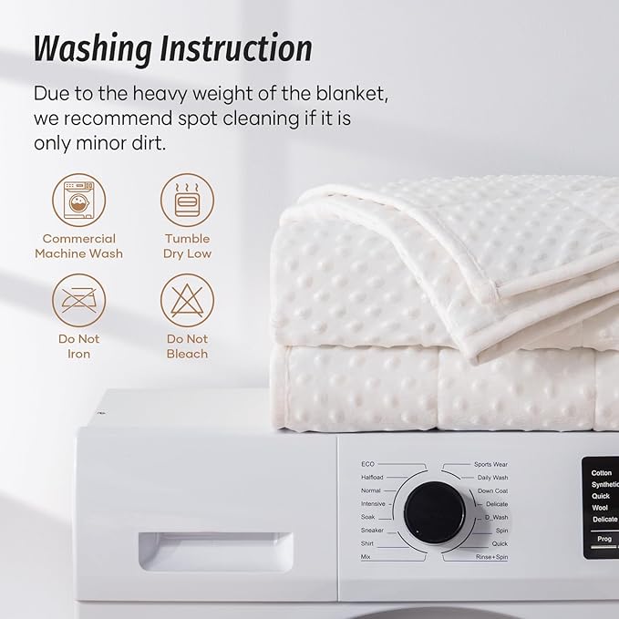Wemore Minky Dot Weighted Blanket for Adults Queen Size 12 lbs, Soft Cozy Heavy Blanket for Bed and Couch, Breathable Blanket for All-Season with Glass Beads, White 60 x 80 inches