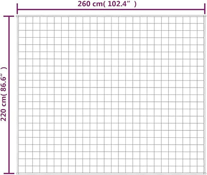 Light Cream Weighted Blanket 100% Brushed Polyester Microfiber, 33 lbs for Deep Sleep and Calm, 86.6 x 102.4 Inches with Even Glass Bead Filling, Soft Sensory Blanket