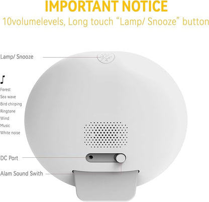 ANTDALIS Sunrise Alarm Clock for Heavy Sleepers Adults, Wake Up Light Dimmable Night Light for Kids Teens Bedroom Home Decor Girls Boys Women Gifts, 20 Color and Touch Control