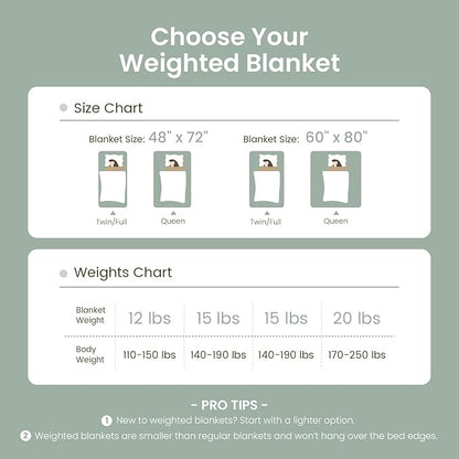 Drewin Adult Weighted Blankets 20lbs, Cozy Fluffy Jacquard Checkered Sherpa Weighted Blankets Queen Size 60 x 80 inches, Soft Winter Heavy Blanket for Couch Bed, Ceramic Beads, Sage Green