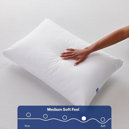 Casper Essential Pillow for Sleeping, King, White, Two Pack
