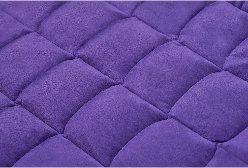 TONGDADA Weighted Lap Blanket 7lbs for Adult,Perfect for Relaxation, Lounging, Napping, Sleeping & Travel,Luxury Minky Weighted Body Blanket,Weighted Throw Blanket-Violet Minky, 29" x 24"