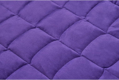 TONGDADA Weighted Lap Blanket 7lbs for Adult,Perfect for Relaxation, Lounging, Napping, Sleeping & Travel,Luxury Minky Weighted Body Blanket,Weighted Throw Blanket-Violet Minky, 29" x 24"