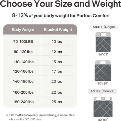 ZonLi Royal Posh Velvet Weighted Blanket for Adults, Dual Sided Cozy Fluffy Heavy Blanket(60"x80",20lbs,Grey), Bed Sofa Heavy Blankets, Soft Material with Premium Glass Beads, Easy Care