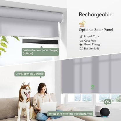 ZSHINE Motorized Window Blinds Over-Size Customize Width (21-114 Inches) Remote Control Wireless and Rechargeable Motor Roller Shades Blinds for Windows(Light Filtering Light Grey 82086C)