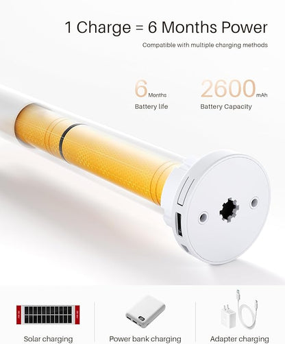 Smart Zebra Blinds for Windows, Alexa Motorized Blinds with Remote Control, Automatic Electric Power Zebra Shades for Indoor Windows (46" W x 72" H, White)