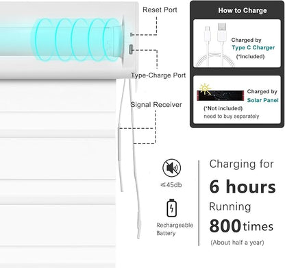 Changshade Custom Motorized Smart Zebra Blinds Remote Control, Cordless Blackout Electric Automatic Shades for Indoor Windows Doors Work with Alexa, Google Home, Apple Homekit, SmartThings, White