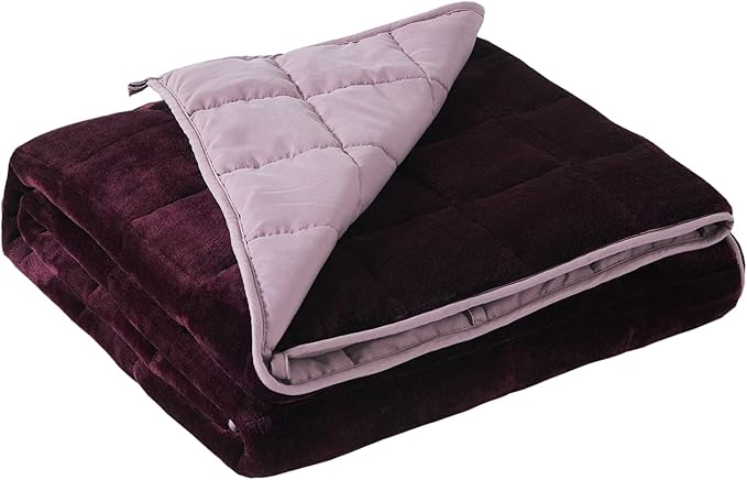 Satwip Weighted Blanket Queen Size 15lbs Fuzzy Warm Flannel Throw Blanket with Soft Breathable Sanded, 60 x 80 inches, Red Pink
