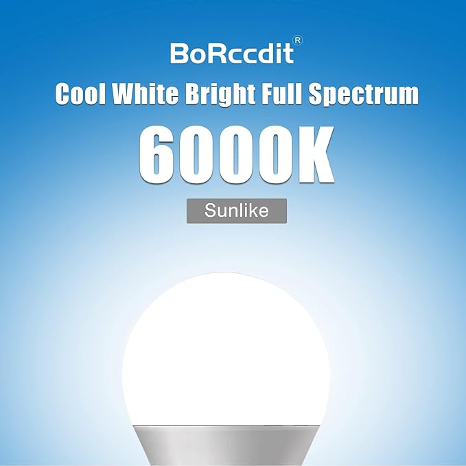 Full Spectrum 6000K Natural Sunlight Bulbs, 9W Equivalent to 60W, Cool White Light, A19, E26/E27 Base (Pack of 4)