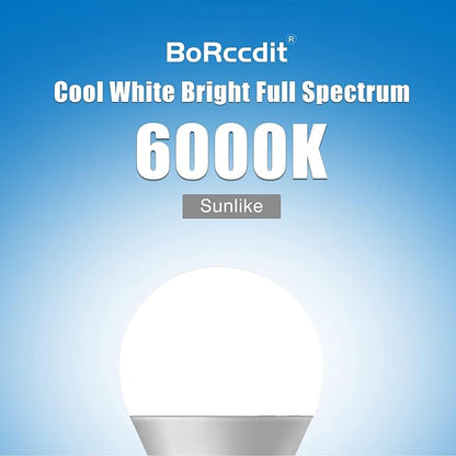 Full Spectrum Light Bulb, 6000K Natural Sunlight Bulbs, Bright Light Bulbs 9W 60W Equivalent, Cool White Comfortable Light, A19, E26/E27 (A19, Count, 3)