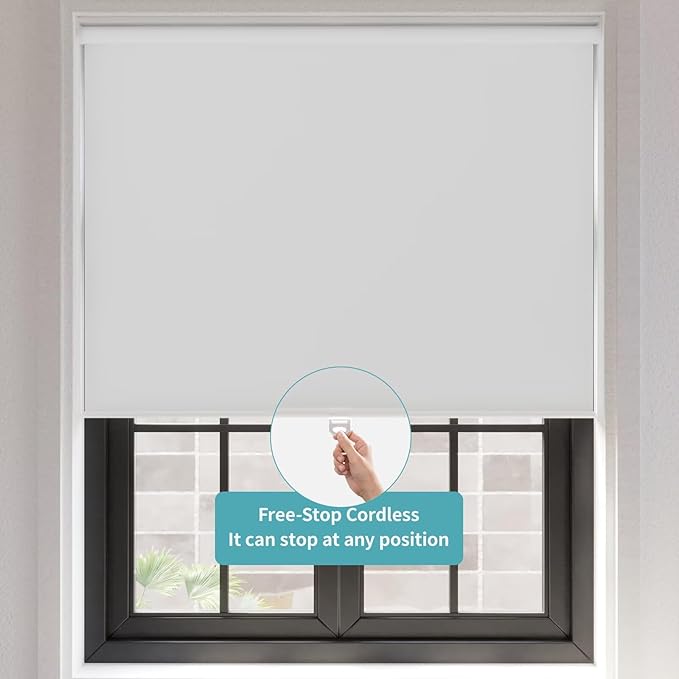MYshade Blackout Cordless Roller Shades, Room Darkening Free-Stop Roll Up Blinds for Windows, Pull Down Blocking Blind for Home and Office, Easy to Install, 27" W X 72" H, White