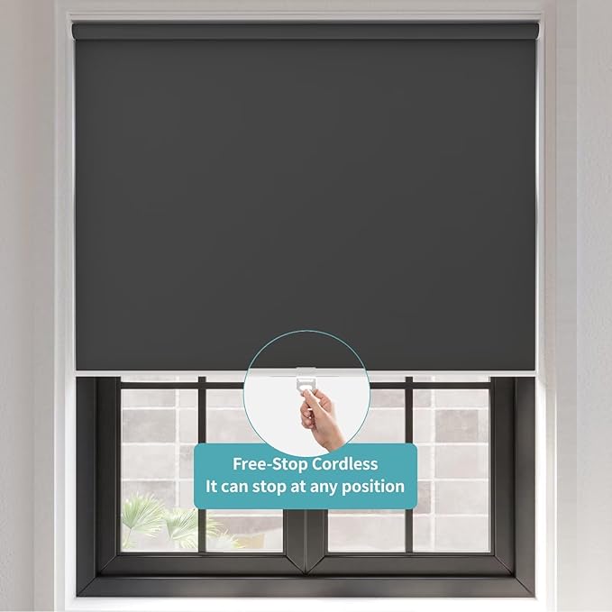 MYshade Blackout Cordless Roller Shades, Room Darkening Free-Stop Roll Up Blinds for Windows, Pull Down Blocking Blind for Home and Office, Easy to Install, 25" W X 72" H, Black