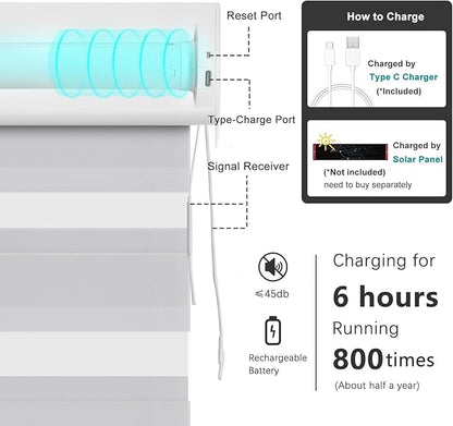Changshade Smart Motorized Zebra Blinds Remote Control for Indoor Door Windows Light Filtering, Custom Size Shades Electric Power Automatic Compatible with Alexa, Google Home, Apple Homekit, Grey