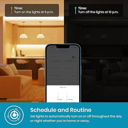 Smart Light Switch 2 Gang Single-Pole Switch 2024 New Model 10A, Works with Siri, Alexa and Google Home,Voice and Remote Control,Neutral Wire Required,No Hub Required