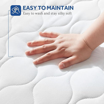 Sealy Heated Mattress Pad Twin Size, Luxury Quilted Electric Bed Warmer with 10 Heat Settings & Auto Off 1-12 Hours | Fit Up to 15" Deep Pocket | ETL Certified | Machine Washable