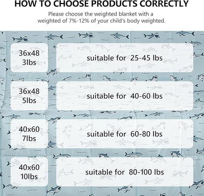 L'AGRATY Weighted Blanket - 36"x48" 5lbs Microfiber Material with Glass Beads Small Blanket for All-Season Summer Fall Winter Soft Thick