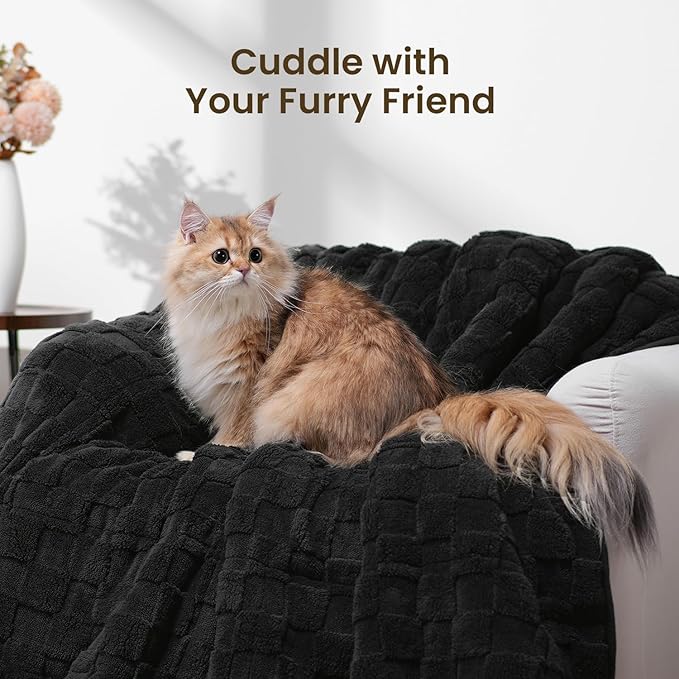 Drewin Weighted Blanket Queen Size 15lbs, Dual Sided Soft Cozy Jacquard Checkered Sherpa Weighted Blanket for Adults, Ultra-Soft Fluffy Heavy Blanket for Sofa Bed, 60 x 80 inches, Black