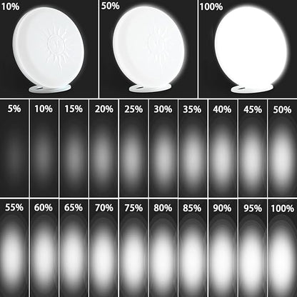McDen Light Therapy Lamp, UV Free 10000 lux, Desktop Desk Lamp with Green Light and Three Types of White Light, 20 Adjustable Brightness Levels, and 4 Timer Functions