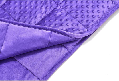 TONGDADA Minky Weighted Blanket | 40''x60'',7lbs | Cozy and Soft Minky Weighted Throw Blanket | Luxury Velvet with Premium Glass Beads | Violet Minky