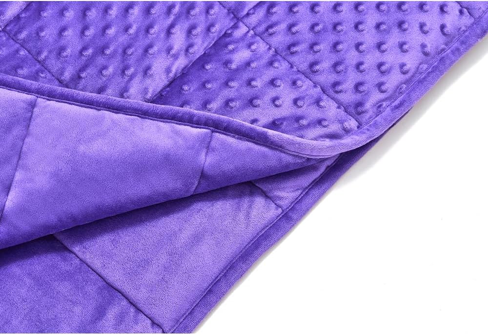 TONGDADA Minky Weighted Blanket | 40''x60'',10lbs | Cozy and Soft Minky Weighted Throw Blanket | Luxury Velvet with Premium Glass Beads | Violet Minky