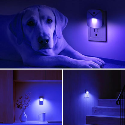 KINUR 6 Pack LED Blue Night Light Plug in, Dusk to Dawn Sensor Automatic on and Off, Energy efficient, Soft Glow nightlights for Kids, Nursery, Bedroom, Bathroom, Hallway, Stairs, Kitchen