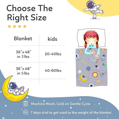 LOYIGA Weighted Blanket with Removable Duvet Case 3lbs 36” x 48”,Reversible Heavy Blanket (Grey)
