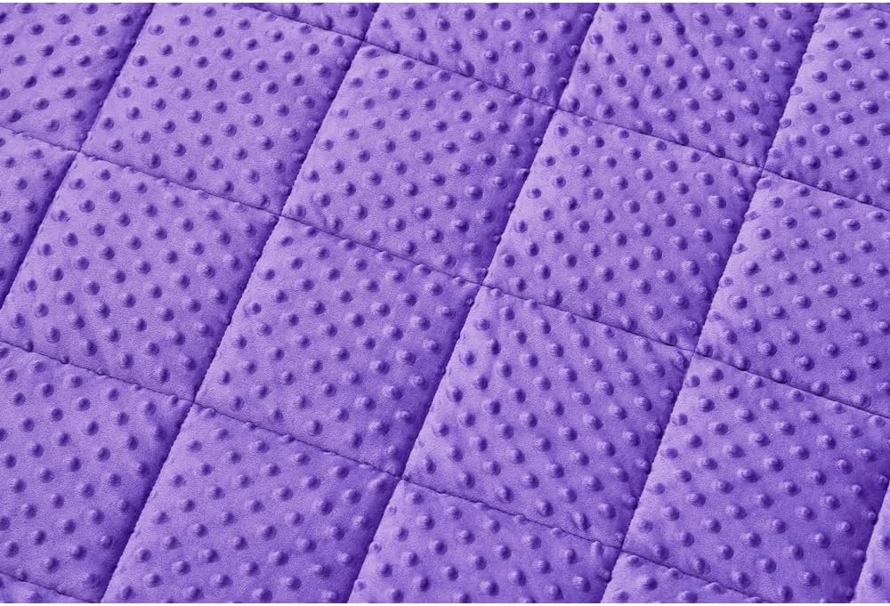 TONGDADA Minky Weighted Blanket | 60''x80'',15lbs | Cozy and Soft Minky Weighted Throw Blanket | Luxury Velvet with Premium Glass Beads | Violet Minky