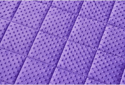 TONGDADA Minky Weighted Blanket | 40''x60'',10lbs | Cozy and Soft Minky Weighted Throw Blanket | Luxury Velvet with Premium Glass Beads | Violet Minky