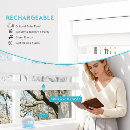 Motorized Zebra Blinds with Remote Smart Blind Work with Homekit Alexa SmartThings Electric Shade Cordless Automatic Solar Powered Window Shade Customize(100% Blackout Pure White)
