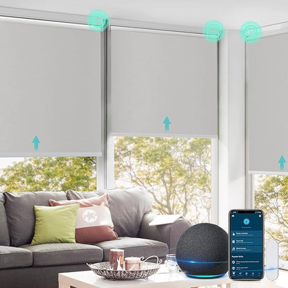 Allesin Motorized Roller Shade Blinds Work with Alexa for Window, 100% Blackout Smart Shades Cordless with Remote Control, Electric Automated Blinds for Window, Customized Size for Smart Home (Grey)