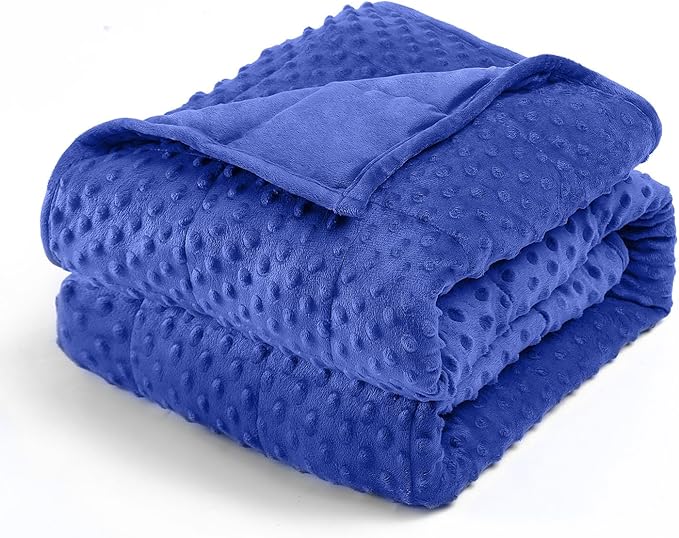 Wemore Minky Dot Weighted Blanket for Adults Queen Size 15 lbs, Soft Cozy Heavy Blanket for Bed and Couch, Breathable Blanket for All-Season with Glass Beads, Blue 60 x 80 inches