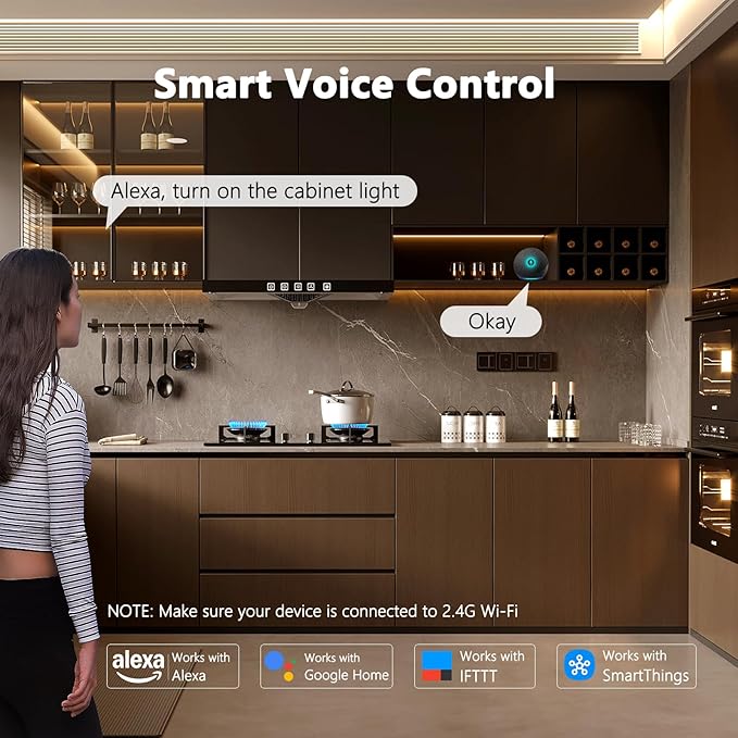 VST CCT 12V Alexa Smart Switch with Remote Controller, Gesture Activated, Low Voltage Light Switch Compatible with Google Assistant & Alexa & TUYA, Work with 12V DC Power Supply
