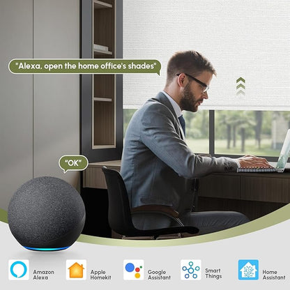 FineTell Motorized Blinds with Remote, 100% Blackout Roller Shades Compatible with Alexa,Apple Homekit,Google Home APP and Voice Control, Customized Electric Blinds (100% Blackout Dreamy White)